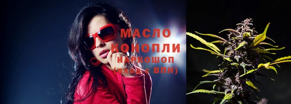 гашиш Богданович
