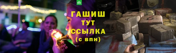 гашиш Богданович
