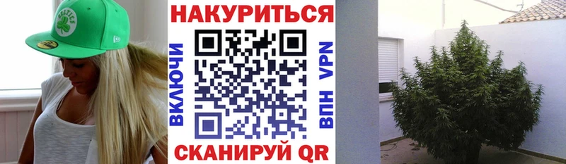 Конопля индика  Дрезна 